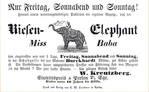 Ïðåâüþ Ephemera-Advertisement-Elefant-MissBaba (1) (700x432, 107Kb)